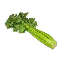 Céléris