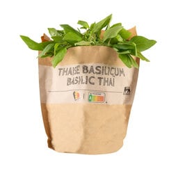 Delhaize | BIO | Bio | Basilicum | Thai 