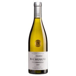 France - Frankrijk | Bourgogne | Bourgogne Domaine Gayot 2020 Wit 