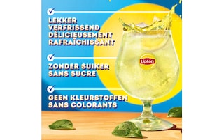 Lipton | Green Tea | Ice Tea | Niet bruisende | Suikervrije | Green 