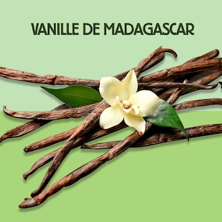 Carte d'Or | Crème glacée | Vanille 