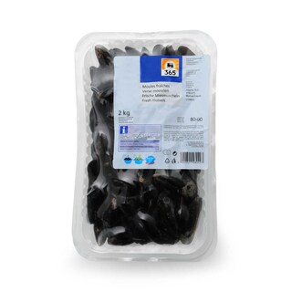 365 | Moules fraiches 80/90 