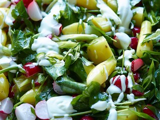 Salade van ratjes, lente-uitjes, radijzen, waterkers en wasabiyoghurt