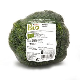 Broccoli | Bio