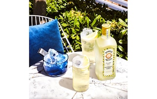 Bombay | Gin | Citron 