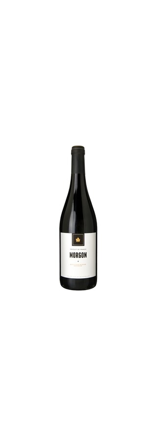 Delhaize | Morgon 