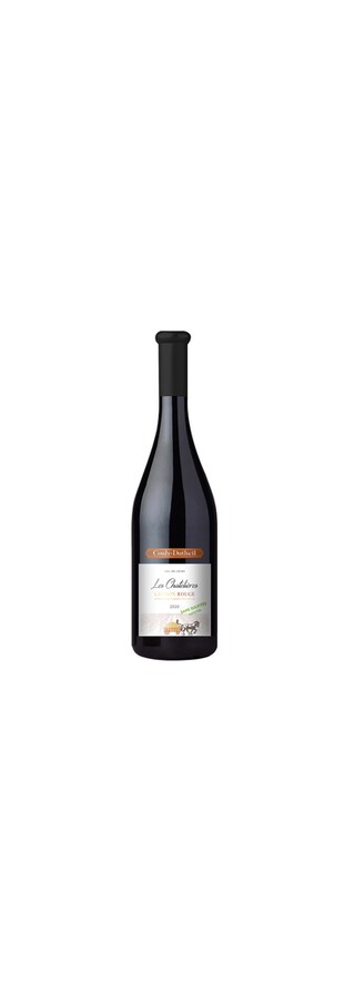 France - Loire | Chinon Chatelière Sans Sulfite 2020 Rood 