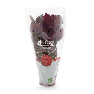 Delhaize | Bio | BIO | RODE SHISO 