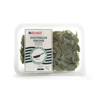 Delhaize | Zoutmelde 