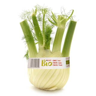 Delhaize | Bio | Fenouil | Bio 