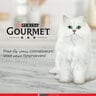 Gourmet-Mon Petit