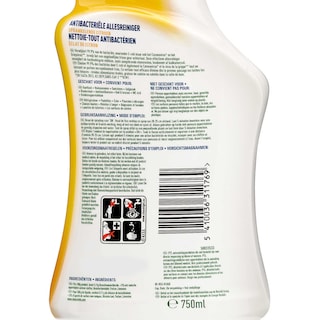 Dettol | Multi Reiniger | Power & Fresh | Sproeien | Citroen | 750ml 