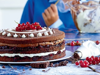 Mikado laagjescake met veenbessen