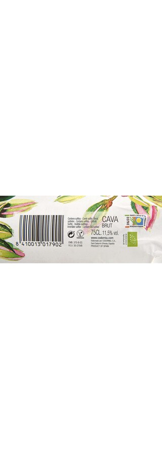 Codorníu | Cava Anna Brut + Icebucket 