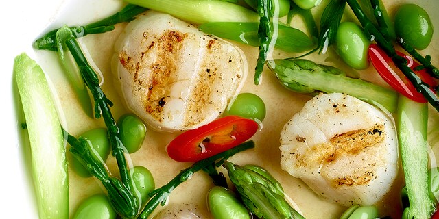 Sint-jakobsvruchten in nage van tuinkruiden en asperges