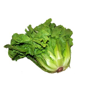 Chicorée endive