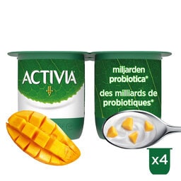 Yoghurt | Mango | Bifidus | Probiotica