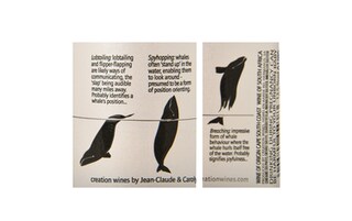 Whale Pod | Sauvignon Blanc 75 cl