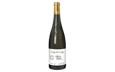 France - Frankrijk-Loire - Anjou