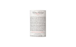 Bordeaux - Pauillac | Château Fonbadet 2010 | Rood 