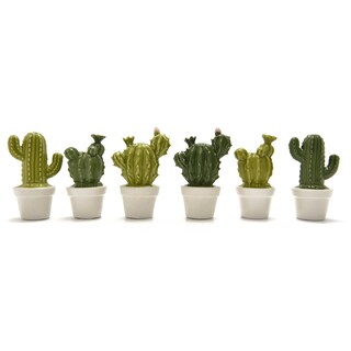 Delhaize | Keramische Cactus 