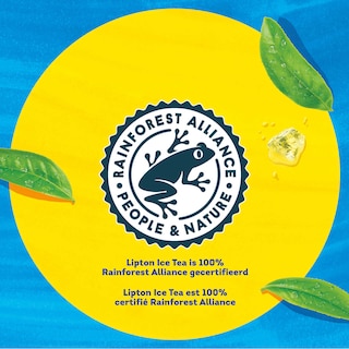 Lipton | Ice Tea | Non pétillant | Sans Sucre | Pêche 