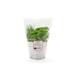 Delhaize | Bio | Trio herbes | Bio 