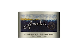 Chile | Limari Valley | Amelia Chardonnay 2018 Wit 