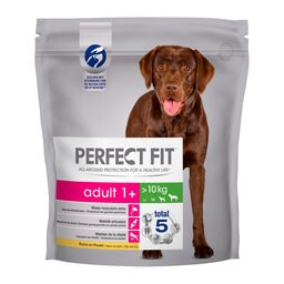 Aliment Chien | Poulet | Adulte M/L
