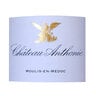 Chateau Anthonic