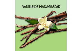 Carte d'Or | Crème glacée | Vanille 