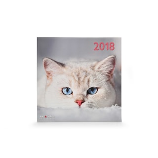 Te Neues - Pok Editions | Calendrier | Chats | 2019 | 30 x 30 cm 