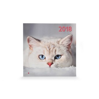Te Neues - Pok Editions | Kalender | Katten | 2019 | 30 x 30 cm 