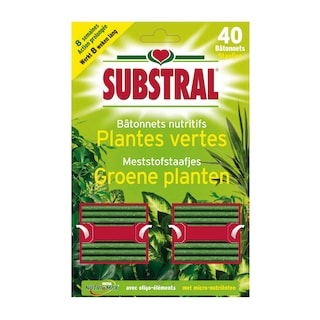 Substral | Bâtonnets nutritifs | Plantes vertes 