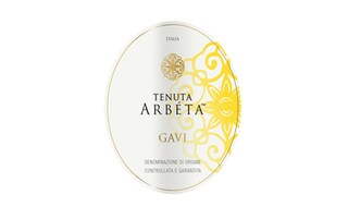Italie - Italië | Piemonte D.O.C.G. | Arbeta Gavi 2019 