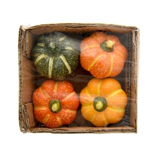 Delhaize | Citrouille Terracotta 4ass 