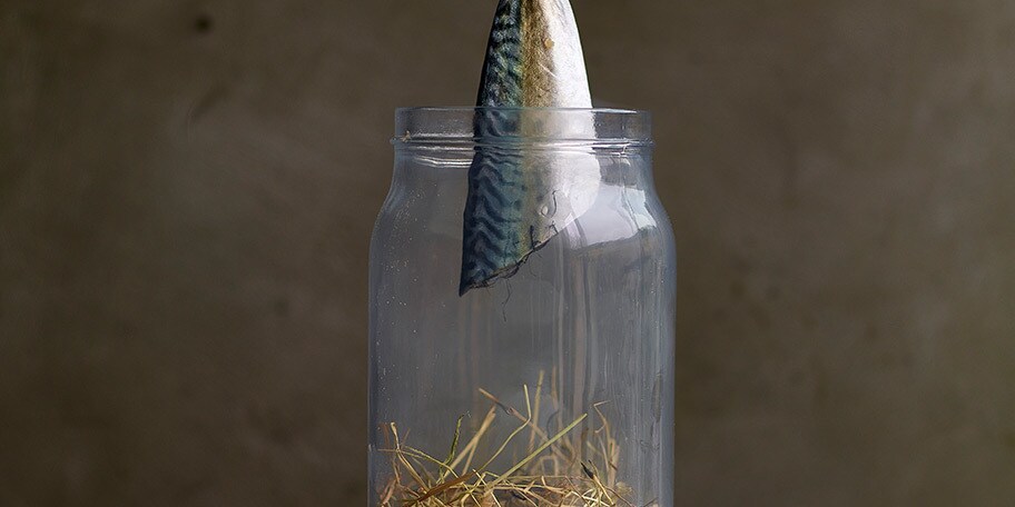 Maquereau fumé maison