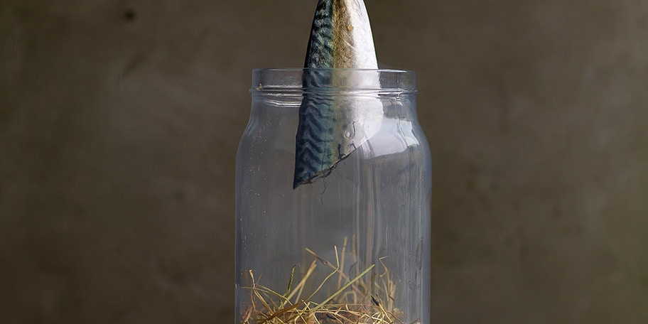 Maquereau fumé maison