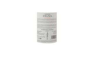 CHILI - CENTRAL VALLEY | Santa Digna | Carmenere Reserva 2013 | Fair Trade 