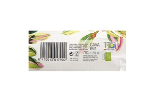 Codorníu | Cava Anna Brut | Bio 