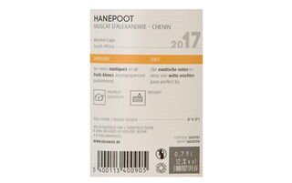 Afrique du Sud-Zuid-Afrika | Western Cape | Hanepoot RSA Wit 