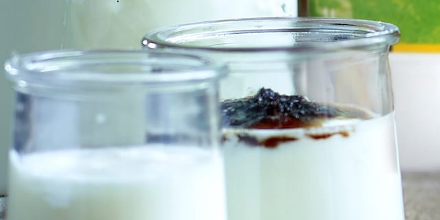 Huisgemaakte yoghurt