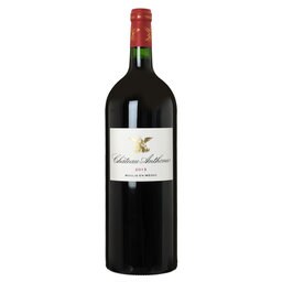 FR BORDEAUX MOULIS EN MEDOC | Château Anthonic 2013 