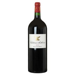 FR BORDEAUX MOULIS EN MEDOC | Château Anthonic 2013 