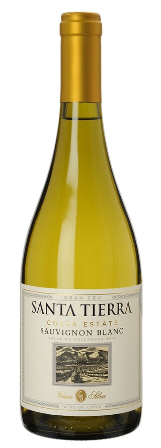 Chili | Colchagua Valley | Santa Tierra Grand Cru Costa Sauvignon 15 Wit 