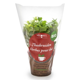 Delhaize | Bio | Kruiden voor thee | Bio 