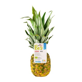 Delhaize | Bio | Ananas | Bio 
