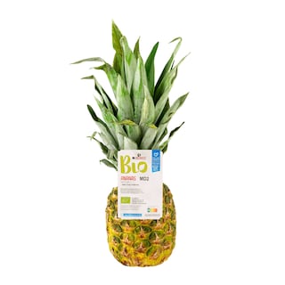 Delhaize | Bio | Ananas | Bio 