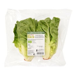 Laitue Romaine | Bio