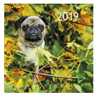 Te Neues - Pok Editions | Kalender | Mopshond | 2019 